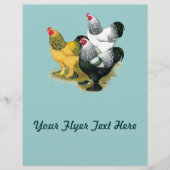 Brahmas Drie Roosters Flyer (Voorkant)