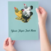 Brahmas Drie Roosters Flyer (Hand)