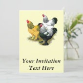 Brahmas Drie Roosters Kaart (Staand voorkant)