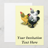 Brahmas Drie Roosters Kaart (Voorkant / Achterkant)