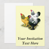 Brahmas Drie Roosters Kaart (Voorkant / Achterkant)