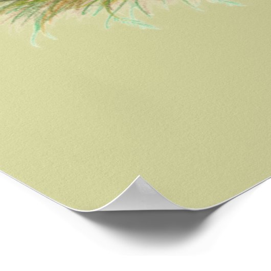 Brahmas Drie Roosters Poster (Hoek)