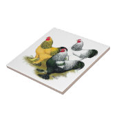 Brahmas Drie Roosters Tegeltje (Zijkant)