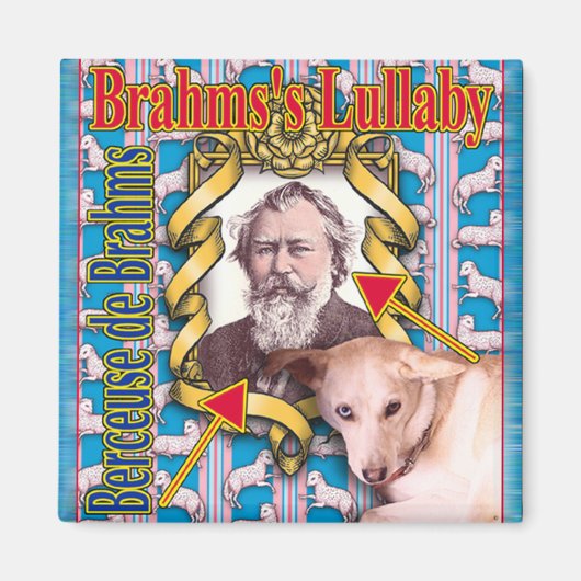 BRAHMS MAGNEET (Voorkant)