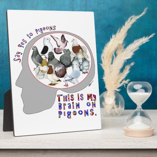 Brain aan duiven fotoplaat (Zijkant)