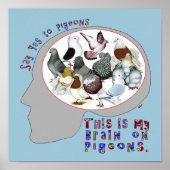 Brain aan duiven poster (Voorkant)