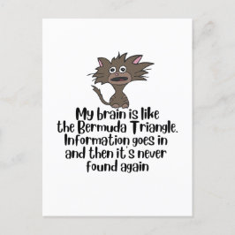 Brain als Bermuda Funny Crazy Cat Expression Briefkaart