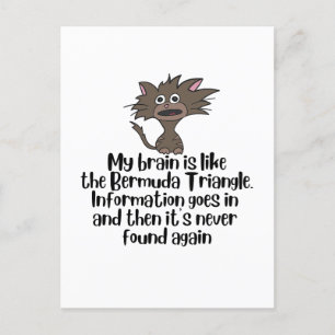 Brain als Bermuda Funny Crazy Cat Expression Briefkaart