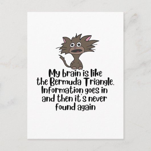 Brain als Bermuda Funny Crazy Cat Expression Briefkaart (Voorkant)