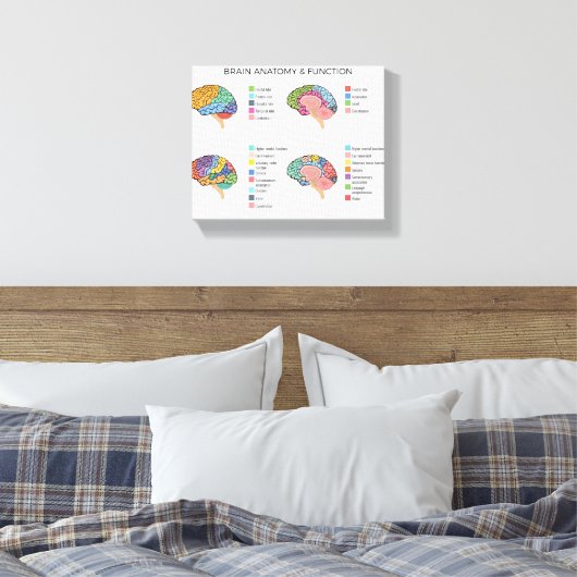 Brain Anatomie Canvas Afdruk (Insitu (Slaapkamer))