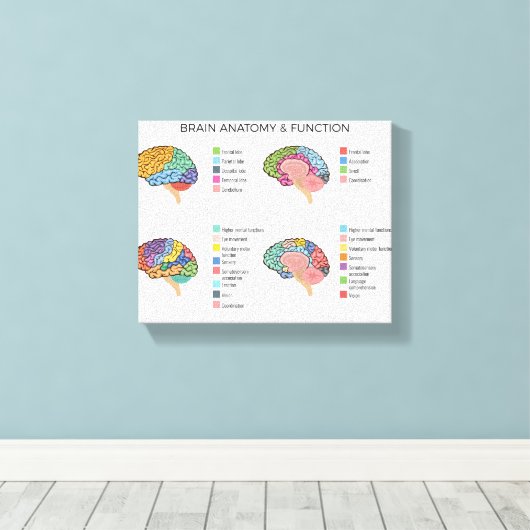 Brain Anatomie Canvas Afdruk (Insitu (Houten vloer))