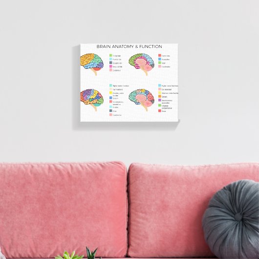 Brain Anatomie Canvas Afdruk (Insitu (Woonkamer))