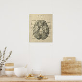 Brain Anatomy Art #1 met Cream Achtergrond Poster (Keuken)