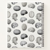Brain Anatomy Biology Antique Illustrations Notitieboek (Achterkant)