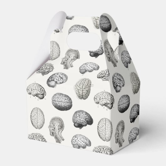 Brain Anatomy Biology Illustrations Bedankdoosjes (Voorkant Zijde)