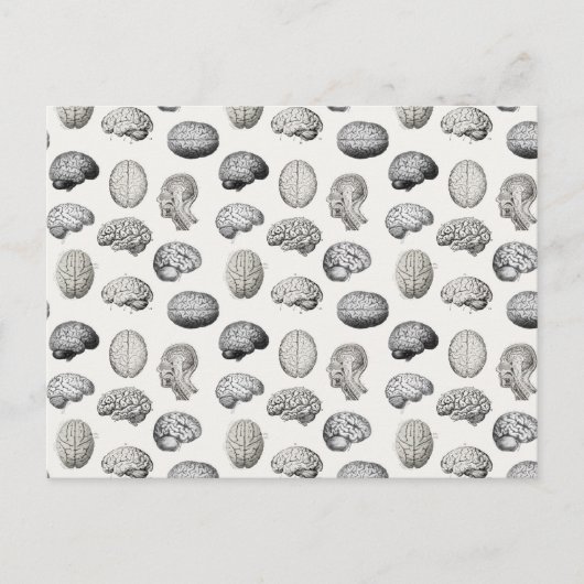 Brain Anatomy Biology Illustrations Feestdagenkaart (Voorkant)