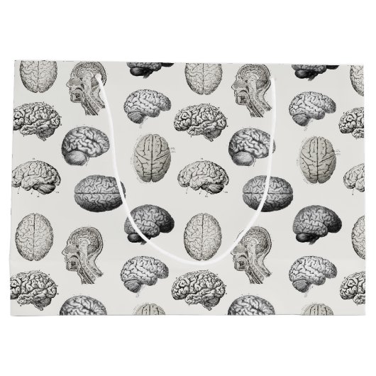 Brain Anatomy Biology Illustrations Groot Cadeauzakje (Achterkant)