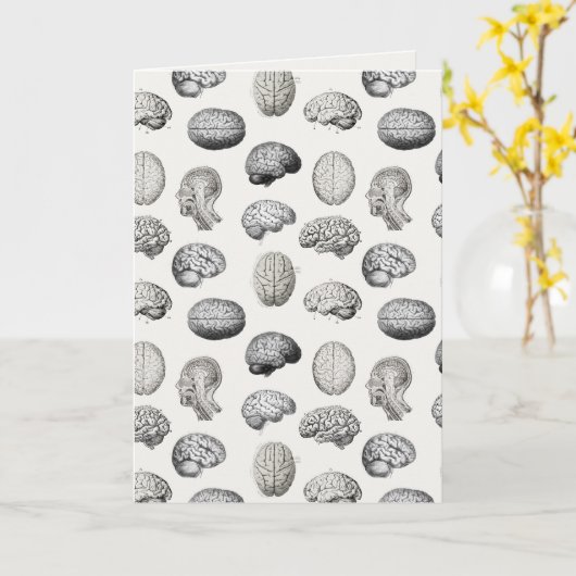 Brain Anatomy Biology Illustrations Kaart (Gele Bloem)