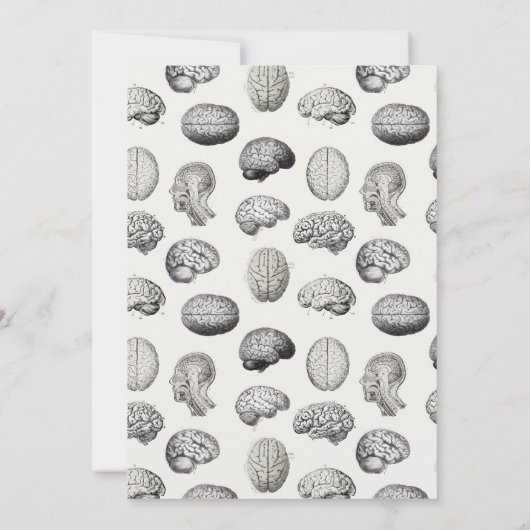 Brain Anatomy Biology Illustrations Psychologist Notitiekaartje (Achterkant)