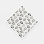 Brain Anatomy Biology Illustrations Servet (Hoek)