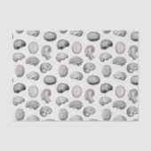 Brain Anatomy Biology Illustrations Tissuepapier (Voorkant)