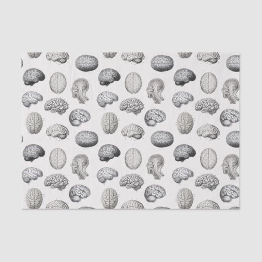 Brain Anatomy Biology Illustrations Tissuepapier (Voorkant)