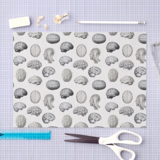 Brain Anatomy Biology Illustrations Tissuepapier (Craft)