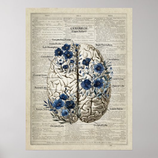 Brain Anatomy Blauwe Bloemen Woordenboek Art Poster (Voorkant)