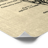 Brain Anatomy No. 4 Cream Achtergrond Poster (Hoek)