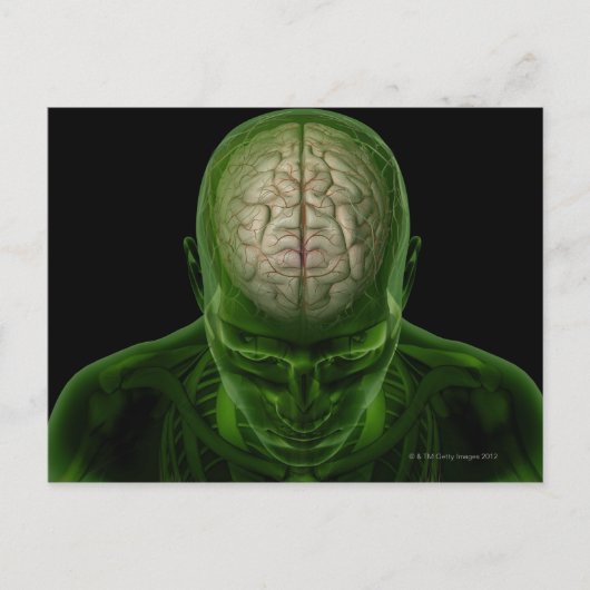 Brain Arteries Briefkaart (Voorkant)