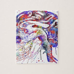 Brain craniale zenuwen, hersencraniale zenuwen legpuzzel