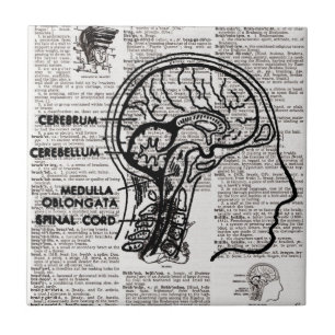 Brain Dictionary Art Tile Tegeltje
