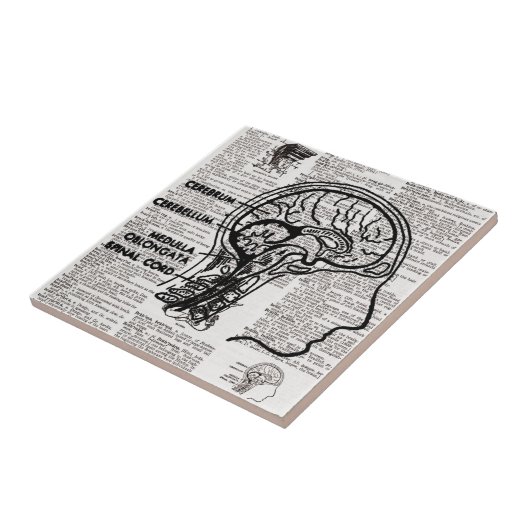 Brain Dictionary Art Tile Tegeltje (Zijkant)