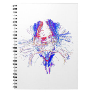 Brain en tracktografie notitieboek
