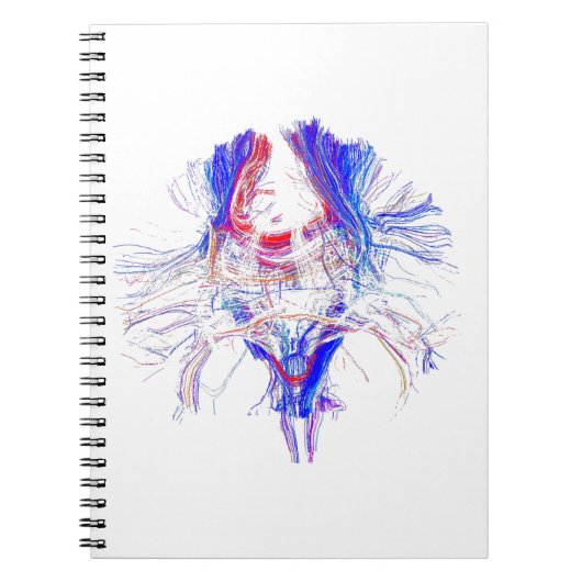Brain en tracktografie notitieboek (Voorkant)