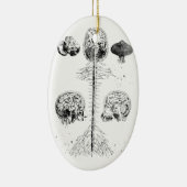 Brain en wervelkolom keramisch ornament (Rechts)