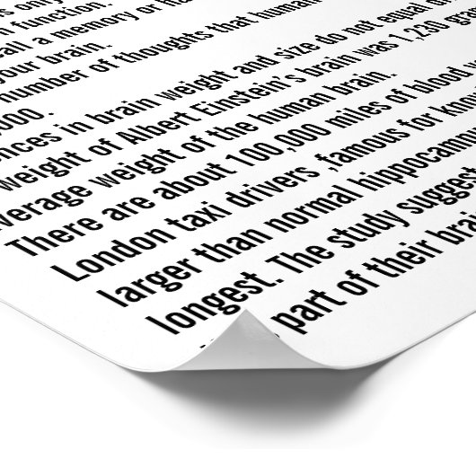 Brain Facts Poster (Hoek)