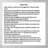 Brain Facts Poster (Voorkant)