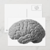 Brain Gifts Briefkaart (Voorkant / Achterkant)