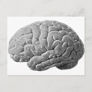 Brain Gifts Briefkaart