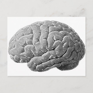 Brain Gifts Briefkaart
