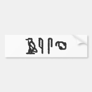 Brain Hieroglyphics Bumpersticker