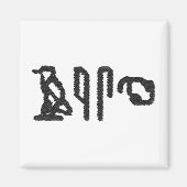 Brain Hieroglyphics Magneet (Voorkant)