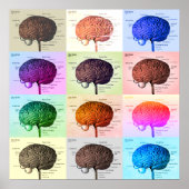Brain/Kleur Poster (Voorkant)