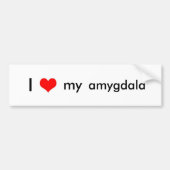 Brain liefde bumpersticker (Voorkant)