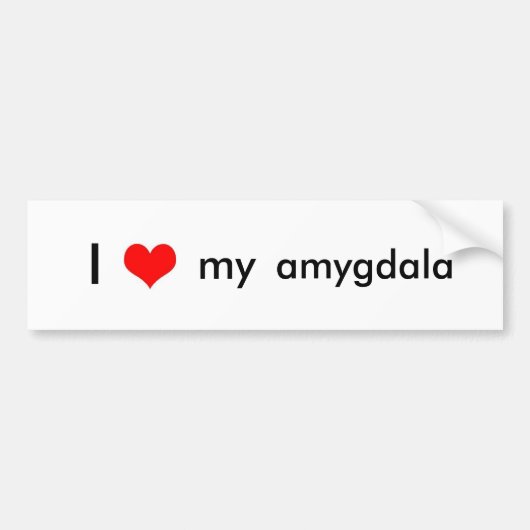 Brain liefde bumpersticker (Voorkant)