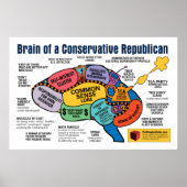 Brain Map - Capitalistische Republikein Poster (Voorkant)