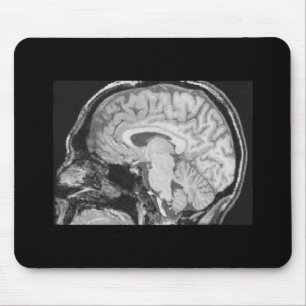 Brain MRI Muismat