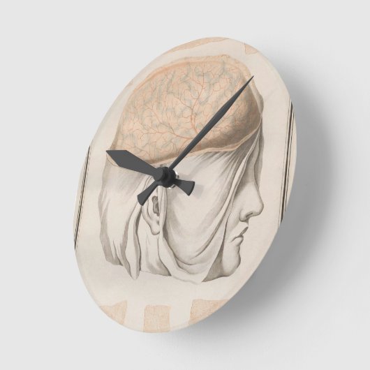 Brain One - Neuroanatomie Ronde Klok (Hoek)