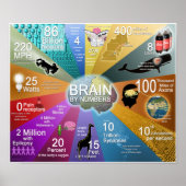Brain op getal poster (Voorkant)